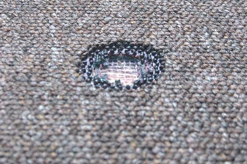 How to get burns out of carpet